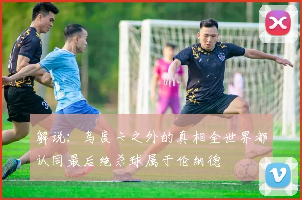 解说：乌度卡之外的真相全世界都认同最后绝杀球属于伦纳德